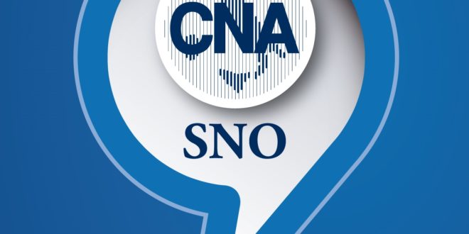 Logo CNa-SNO